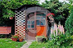 Wooden Gazebo