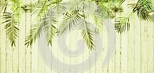 Wooden green floor copy space background with tropical plants shadows,top view