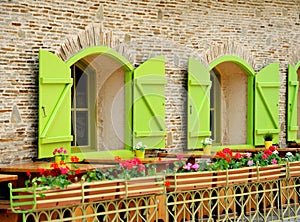 Wooden green house windows and flowers