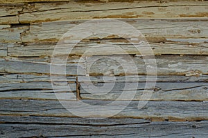 Wooden grey logs background with cracks and splits