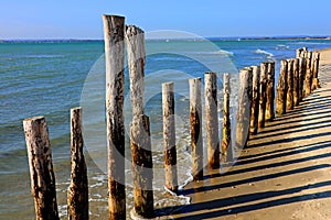A wooden groyne along the seafront at Wittering.