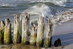 Wooden groyne on one of the beaches