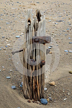 Wooden groynes