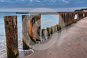 Wooden groynes on beach of Baltic sea in Svetlogorsk at sunset. Kaliningrad region. Russia