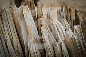 Wooden groynes photo