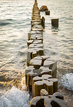 Wooden groynes photo