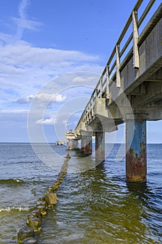 Wooden groynes covered with yellow green algae under a pier with columns of concrete and rusty metal