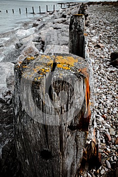 Wooden groynes on pebble beach