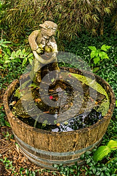 A wooden half barrel water fountain, garden feature, with statue