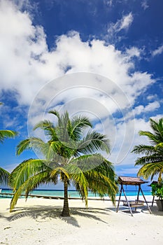 Wooden hammok and palms with tropical lagoon