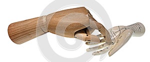 Wooden Hand and Palm Reading