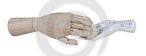 Wooden Hand and Palm Reading Model