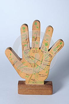 Wooden hand palmistry.