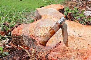 Wooden handle knife stuck on the tree stump.