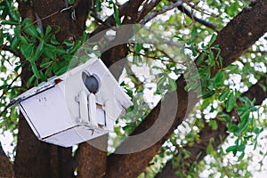 Wooden handmade Bird house on a tree in the park