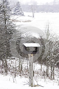Wooden handmade bird house in a vertical winter landscape, snow, trees and frozen lake