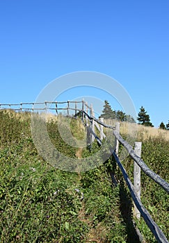 Wooden handrail along an unmaintained hiking path