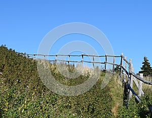 Wooden handrail along an unmaintained hiking path