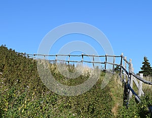 Wooden handrail along an unmaintained hiking path photo