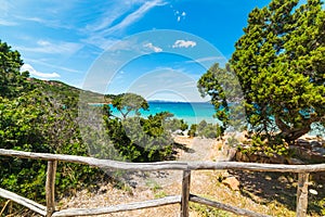 Wooden handrail in Capo Coda Cavallo