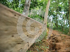 Wooden handrails in the way to the top of Khao Luang mountain in Ramkhamhaeng National Park