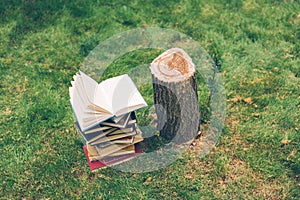 Wooden hands hold a book about trees. Template for your design. Concept of deforestation.