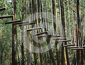 Wooden hanging ladder