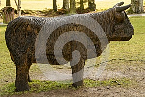 Wooden Head Highland Cow in Aden Park, Mintlaw, Aberdeenshire, Scotland,UK