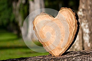 Wooden heart