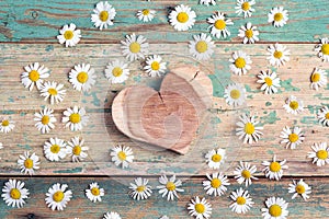 Wooden heart with chamomiles on old turquoise wooden background.