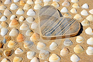 Wooden Heart and Sea Shells