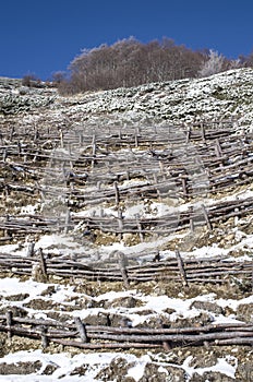 Wooden hedge to strengthen the slope on hill, Bulgaria