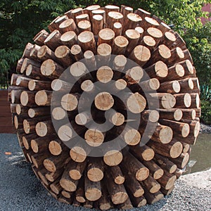 Wooden hedgehog