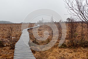Wooden hiking path, fens, grass, High Fens rainy landscape Eastern Belgium