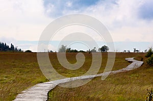 Wooden hiking path High Fens landscape Botrange Belgium