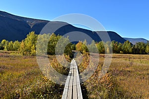 Wooden Hiking path in Nikkaluokta swedish lapland