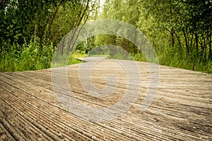 Wooden hiking path in the park