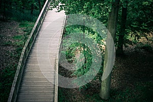 Wooden hiking path in the park