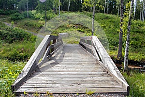 Wooden hiking trail in the Swedish wilderness