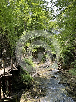 Dřevěný turistika sjezdovky a mosty podél chráněný z kaňon chorvatsko 
