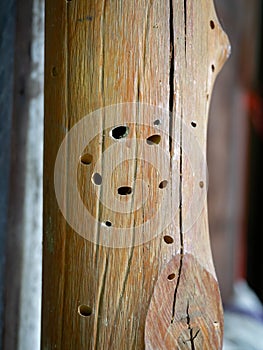 Wooden hole pole Decay rupture Texture wood