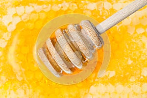 Wooden honey dipper on surface of honeycomb