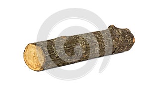 Wooden hornbeam log isolated on white background