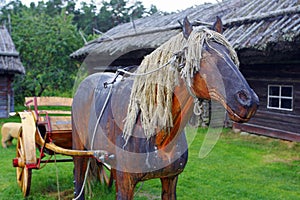 Wooden horse.