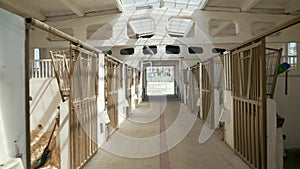 Wooden horse stable hallway, daylight.