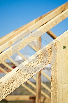 Wooden hothouse photo