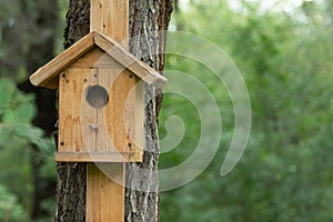 wooden house for birds, tree feeder