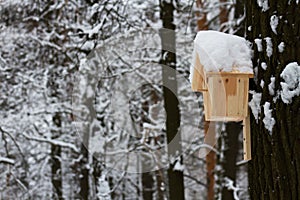 Wooden house for the birds in winter Park