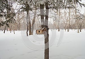 Wooden house for birds in the woods under the snow. Birdhouses for feeding birds and squirrels in winter in the Park