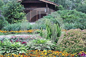 Wooden house in the blossomed garden